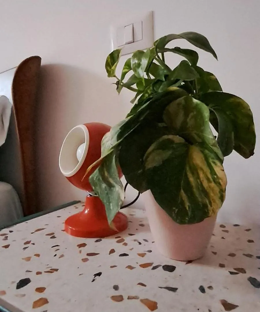 Maison Retro Napoli Apartment